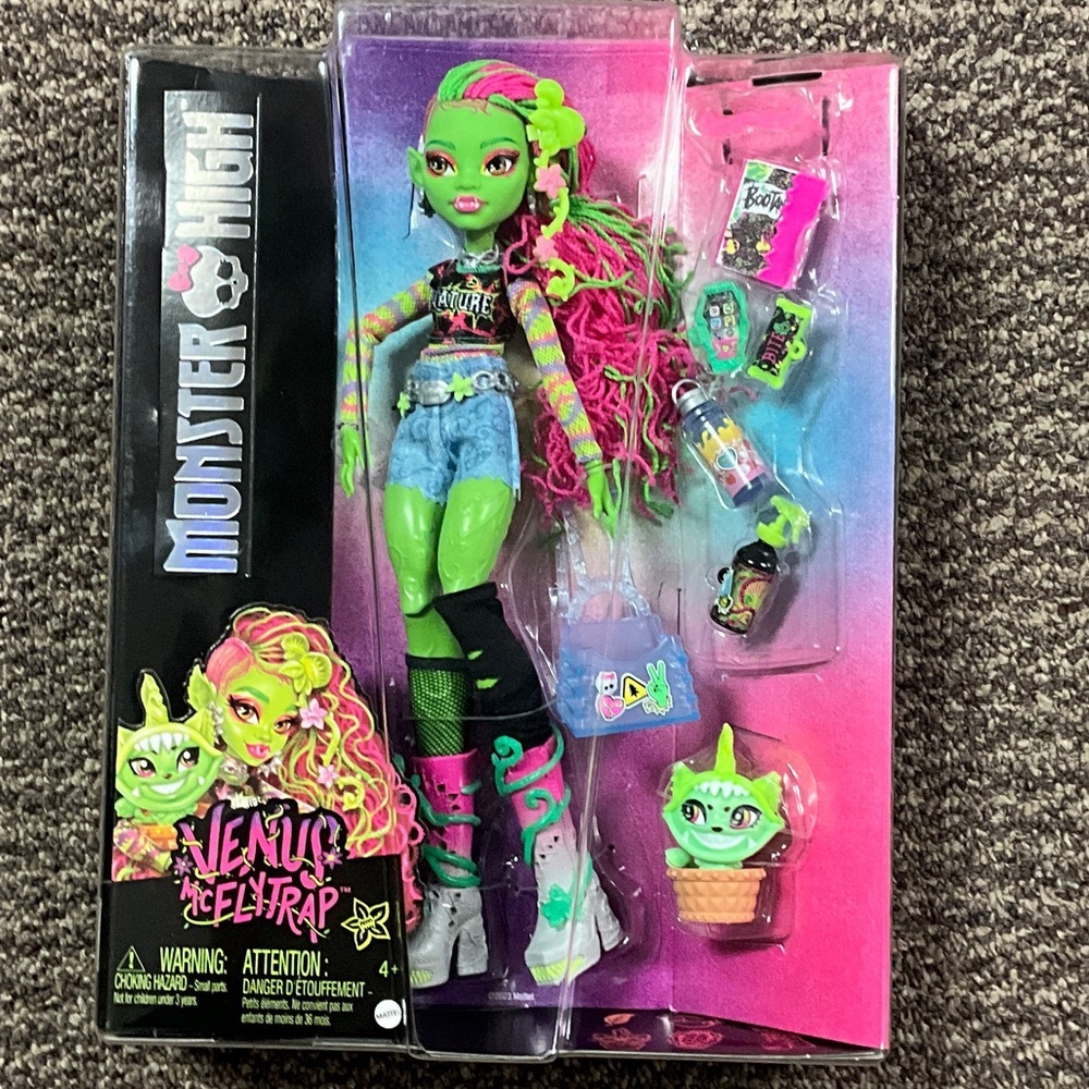 Monster High Doll with Green and Pink Hair